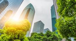 The sun shining through a group of sky scrapers surrounded by trees