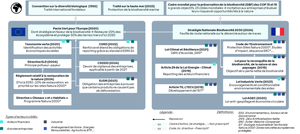 Des cadres mondiaux, européens et nationaux définissent des règles visant à limiter les impacts des acteurs économiques sur la biodiversité, sur des enjeux transverses ou précis.