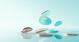 Financial Internal Auditing 