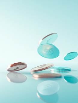 Financial Internal Auditing 