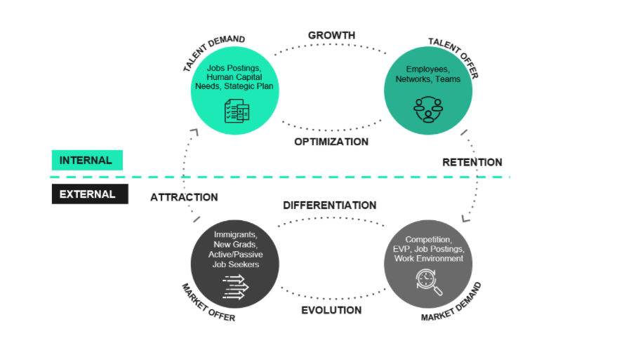 Graphic about Internal Dynamics (Talent Demand and Talent Offer) and External Dynamics (Market Offer and Market Demand)